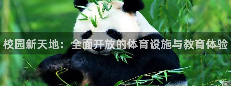 凯捷体育平台注册要钱吗是真的吗：校园新天地：全面开放