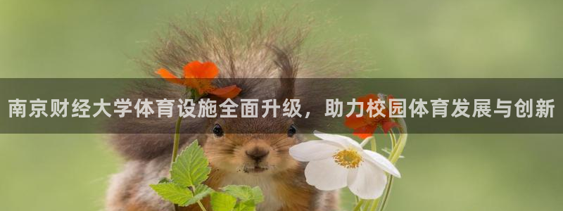 凯捷体育：南京财经大学体育设施全面升级，助力校园体育