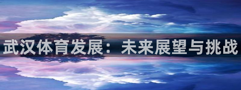 德国凯捷体育集团：武汉体育发展：未来展望与挑战