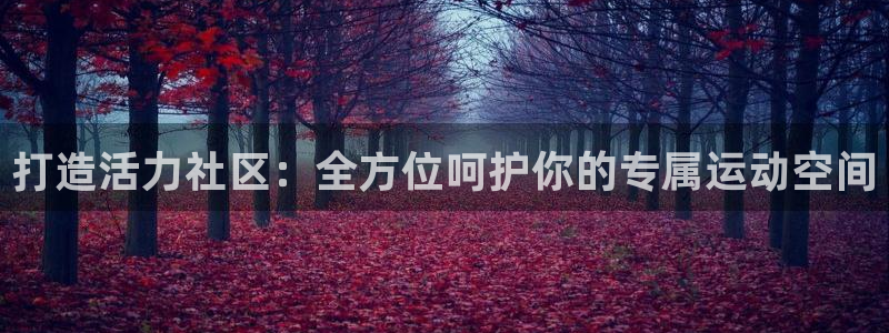 凯捷体育招商：打造活力社区：全方位呵护你的专属运动空