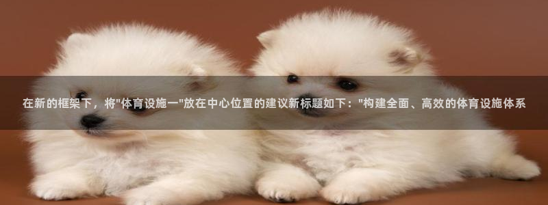 凯捷体育娱乐：在新的框架下，将\
