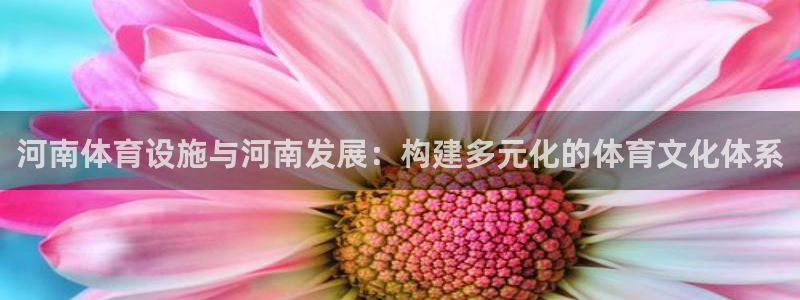 凯捷体育神州：河南体育设施与河南发展：构建多元化的体