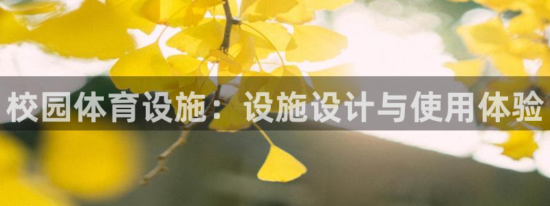 凯捷体育平台是正规平台吗知乎：校园体育设施：设施设计
