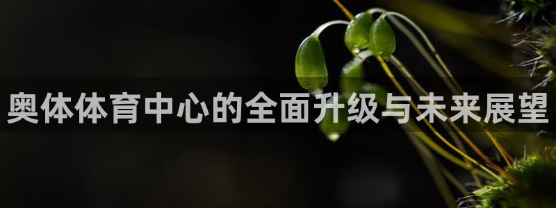 凯捷体育软件：奥体体育中心的全面升级与未来展望