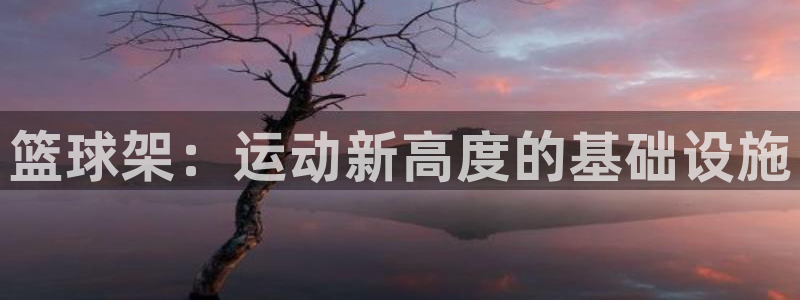 注册凯捷体育：篮球架：运动新高度的基础设施