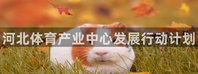 凯捷体育娱乐平台：河北体育产业中心发展行动计划