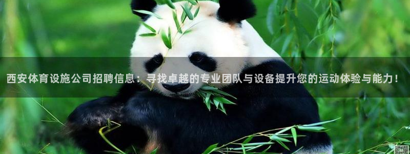 凯捷体育平台注册：西安体育设施公司招聘信息：寻找卓越