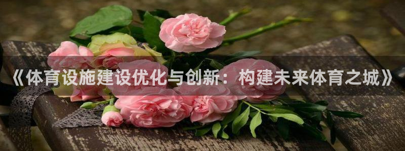凯捷体育集团简介：《体育设施建设优化与创新：构建未来