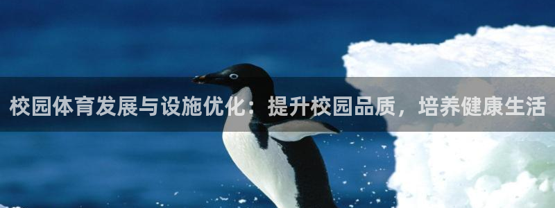 凯捷体育平台注册流程图：校园体育发展与设施优化：提升