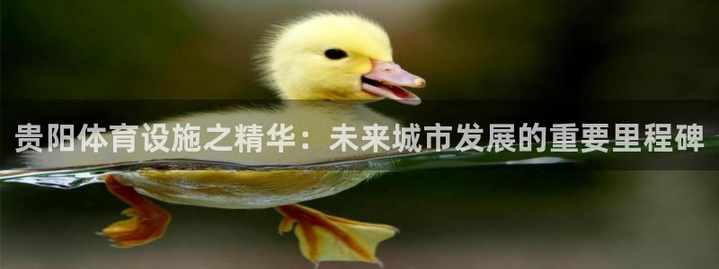 凯捷体育官方客服电话：贵阳体育设施之精华：未来城市发