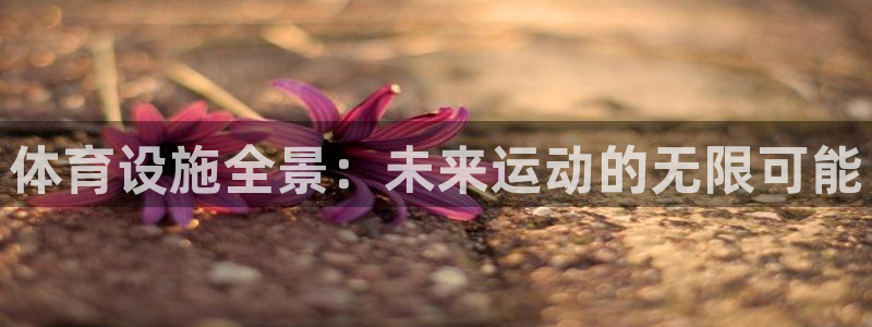 凯捷体育招商电话是多少：体育设施全景：未来运动的无限