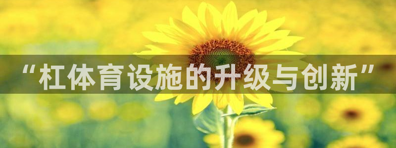 凯捷体育集团：“杠体育设施的升级与创新”