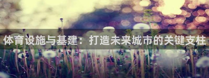 凯捷体育招商电话号码是多少啊：体育设施与基建：打造未