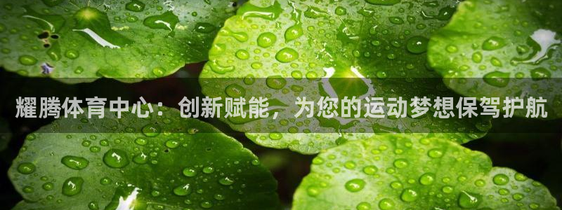 凯捷体育平台是正规平台吗知乎：耀腾体育中心：创新赋能