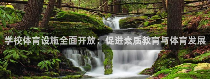 凯捷体育：学校体育设施全面开放：促进素质教育与体育发展