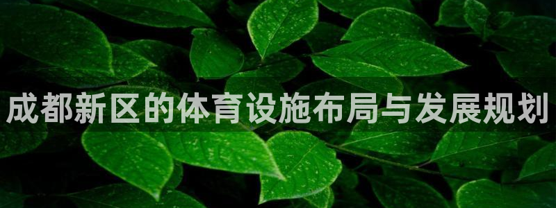 凯捷体育招商：成都新区的体育设施布局与发展规划