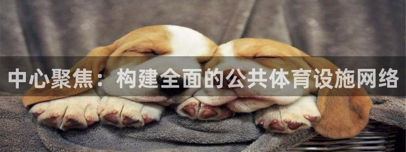 凯捷体育科技：中心聚焦：构建全面的公共体育设施网络