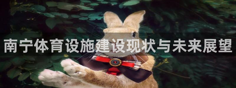 凯捷体育招商电话是多少：南宁体育设施建设现状与未来展