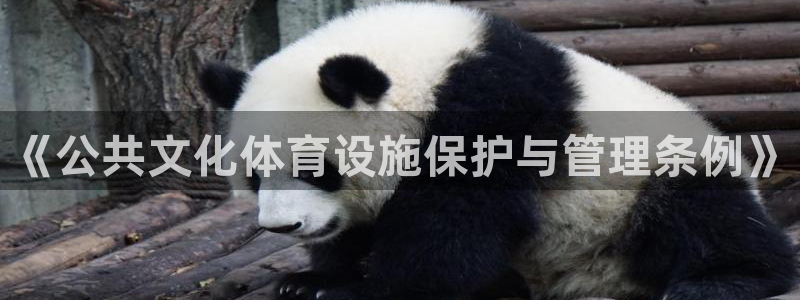 凯捷体育招商电话是多少啊：《公共文化体育设施保护与管