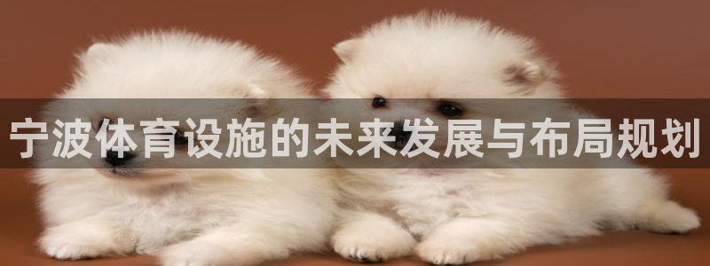 凯捷体育平台是正规平台吗：宁波体育设施的未来发展与布