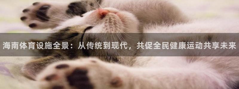 凯捷体育招商电话：海南体育设施全景：从传统到现代，共