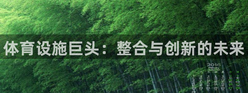 凯捷体育科技：体育设施巨头：整合与创新的未来