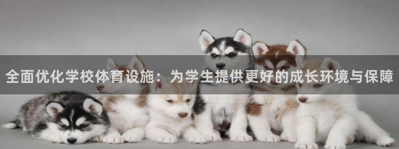 凯捷体育娱乐代理怎么样：全面优化学校体育设施：为学生